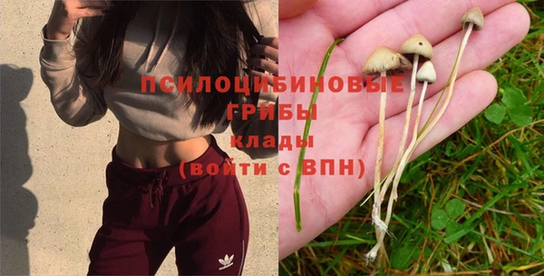 каннабис Абинск