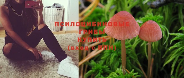 a pvp Алзамай